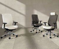 Executive Office Chairs